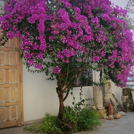 Casa De La Fra Apartment เฮเรซ เด ลาฟรอนเตรา ภายนอก รูปภาพ
